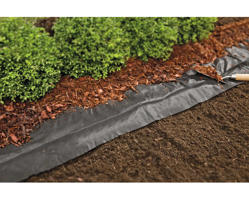 Scenă de grădină cu folie de mulcire, mulci de scoarță și plante
