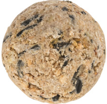 Gălușcă de hrănire pentru păsări sălbatice