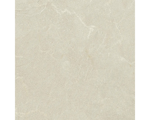 Model de faianță ceramică