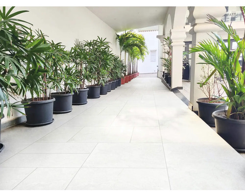 Coridor cu plante în ghivece și podea cu gresie deschisă la culoare