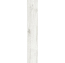 Placă ceramică aspect lemn cu structură lemnoasă