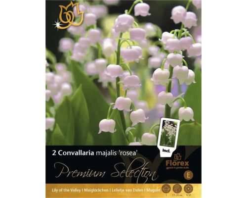 Bulbi de flori Premium Selection Convallaria majalis rosea 2 buc.