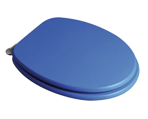Capac de toaletă albastru cu balamale cromate