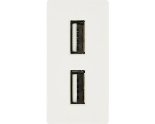 Prize dublă de încărcare USB pentru montare pe perete