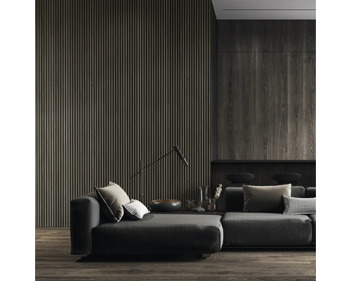 Cameră de zi cu lambriuri din lemn închis, canapea și lampadar