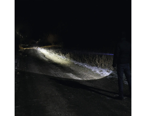 O persoană luminează un drum de câmp întunecat cu o lampă