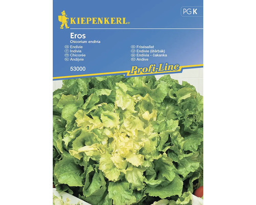 Semințe legume Kiepenkerl andive Eros