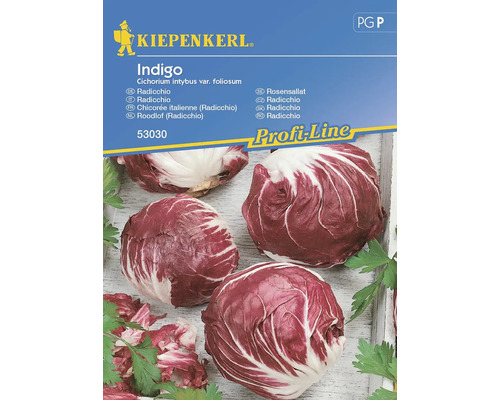 Semințe legume Kiepenkerl ridichi Indigo F1