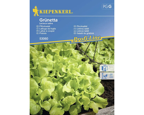 Semințe de salată verde de câmp Grunetta Kiepenkerl