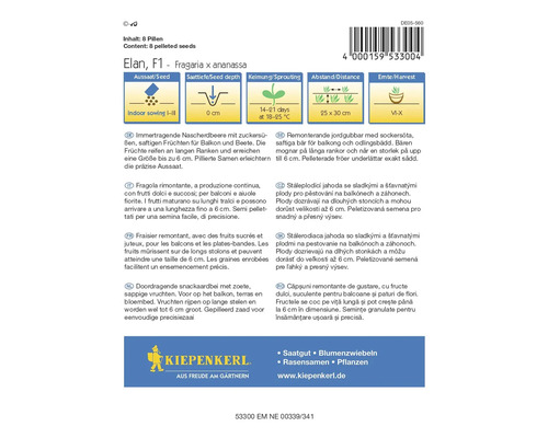 Pachet de semințe de căpșuni Elan F1 pentru interior