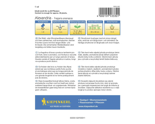 Pachet de semințe de căpșuni Kiepenkerl Alexandria Fragaria Ananassa