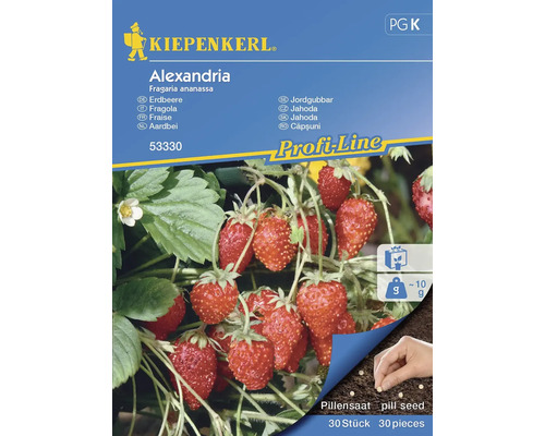 Semințe de căpșuni Alexandria Kiepenkerl