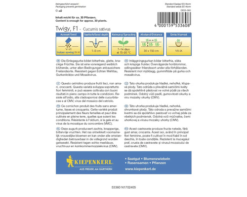 Pachet de semințe de castraveți marca Kiepenkerl