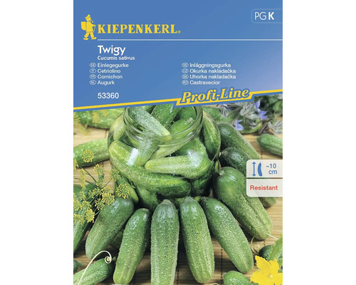 Lauchzwiebeln 'Kaigaro' Von Kiepenkerl Online Kaufen