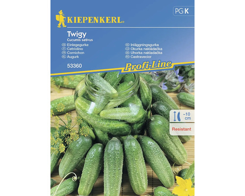 Semințe legume Kiepenkerl castraveți pentru murat Twigy F1