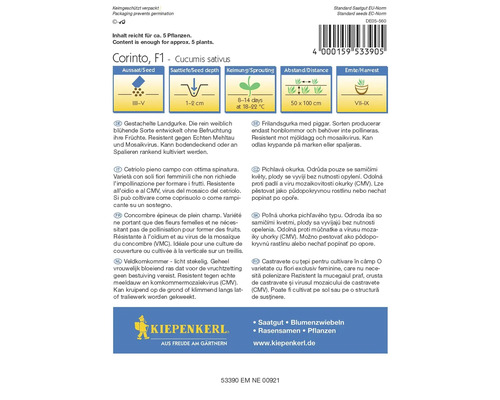 Pachet de semințe de castraveți Corinto F1