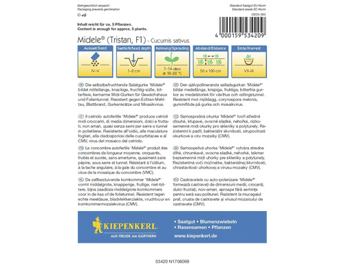 Pachet de semințe de castraveți pentru salată Midele