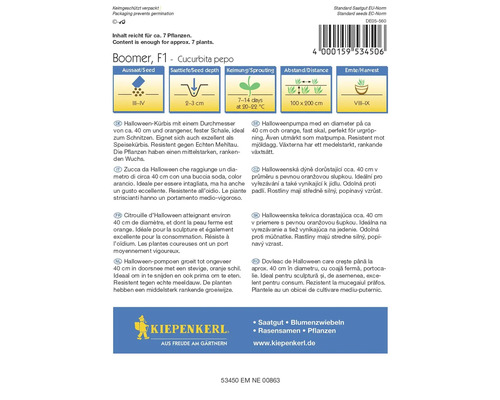 Pachet de semințe de dovleac de Halloween Kiepenkerl Boomer F1