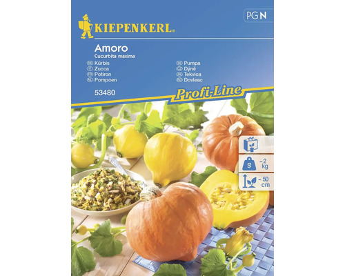 Semințe legume Kiepenkerl dovleac Amoro F1