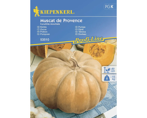 Semințe legume Kiepenkerl dovleac Muscat de Provence