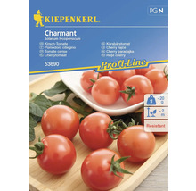 Semințe legume Kiepenkerl tomate cherry Charmant F1