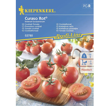 Semințe legume Kiepenkerl tomate cocktail Curaso