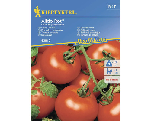 Semințe legume Kiepenkerl tomate pentru salată Aldio roșii