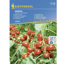 Semințe legume Kiepenkerl tomate pentru salată Matina