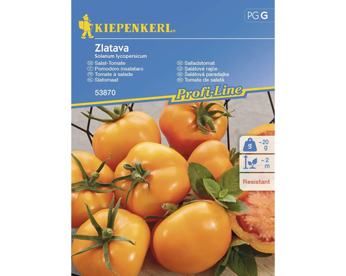Semințe legume Kiepenkerl tomate pentru salată Zlatava