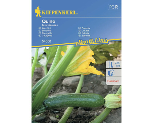 Semințe legume Kiepenkerl dovlecei Quine F1