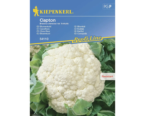 Semințe legume Kiepenkerl conopidă Clapton F1