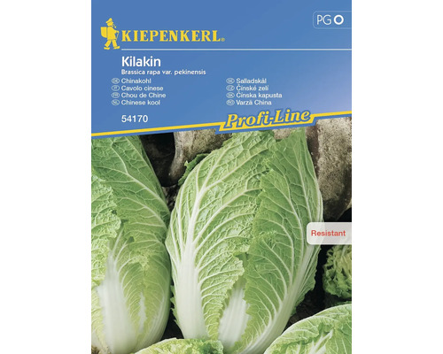 Semințe legume Kiepenkerl varză chinezească Kilakin F1