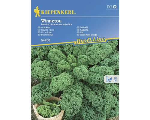Semințe legume Kiepenkerl varză Kale Winnetou F1