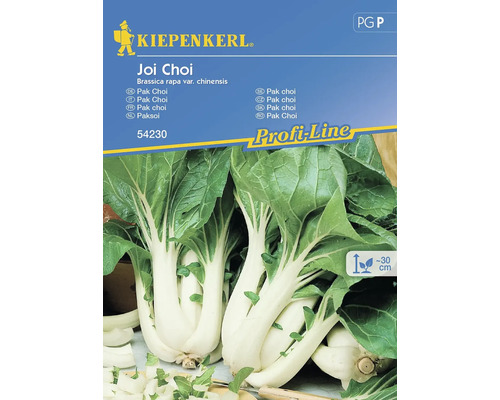 Semințe legume Kiepenkerl varză Pak Choi Joi Choi F1