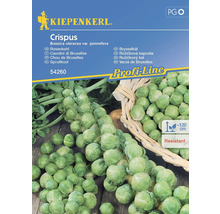 Kiepenkerl Crispus Varză de Bruxelles Pachet de semințe