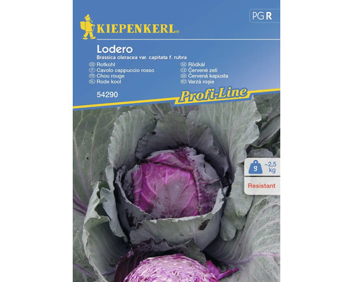 Semințe legume Kiepenkerl varză roșie Lodero F1