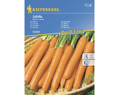 Semințe legume Kiepenkerl morcovi Jubila Naomi