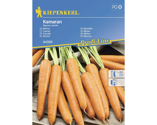 Semințe legume Kiepenkerl morcovi Kamaran F1