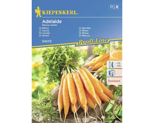 Semințe legume Kiepenkerl morcovi Adelaide F1