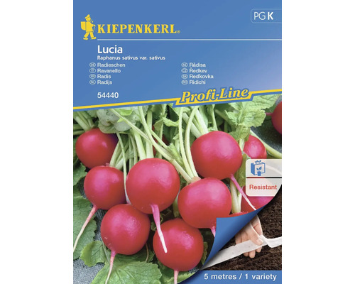 Semințe legume Kiepenkerl ridichi Lucia F1 la bandă