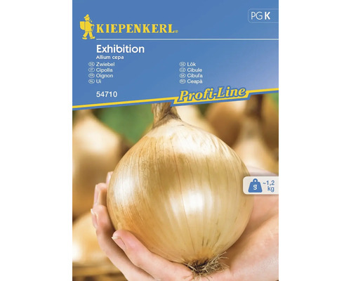 Semințe legume Kiepenkerl ceapă Exhibition