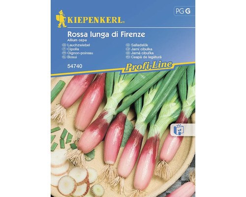 Semințe legume Kiepenkerl ceapă roșie de primavară lungă di Firenze