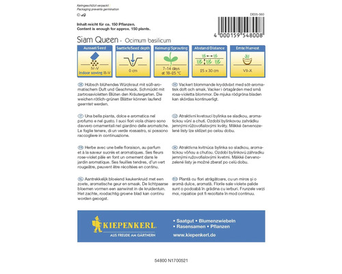 Pachet de semințe de busuioc Siam Queen cu instrucțiuni pentru semănat, adâncimea de semănat, germinare, distanță și recoltare