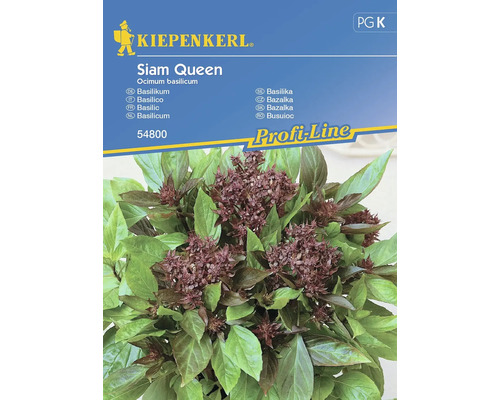 Semințe de busuioc Siam Queen Kiepenkerl