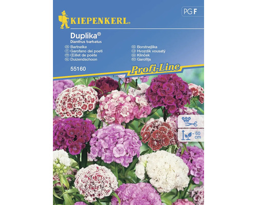 Semințe flori Kiepenkerl garoafe Duplika