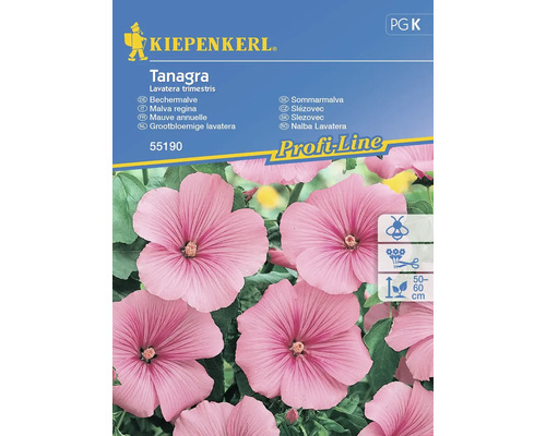 Semințe flori Kiepenkerl nalbă Tanagra