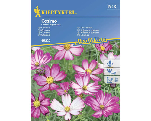 Semințe flori Kiepenkerl cosmos Cosimo | HORNBACH