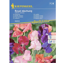Kiepenkerl Royal Mischung Mazăre dulce pachet de semințe