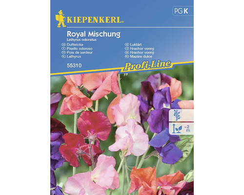 Semințe flori Kiepenkerl Lathyrus royal