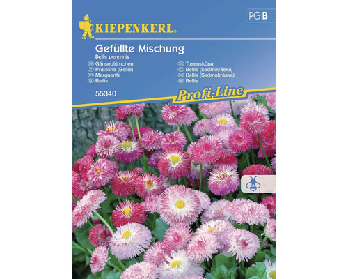 Semințe flori Kiepenkerl bănuți